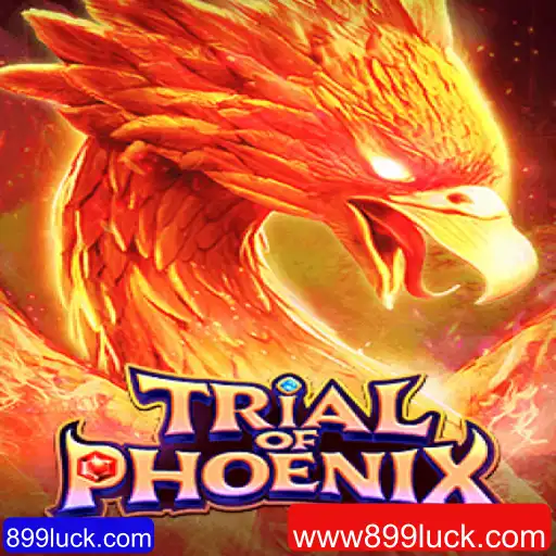 Descubra o Fascinante Mundo do Jogo 'TrialofPhoenix'